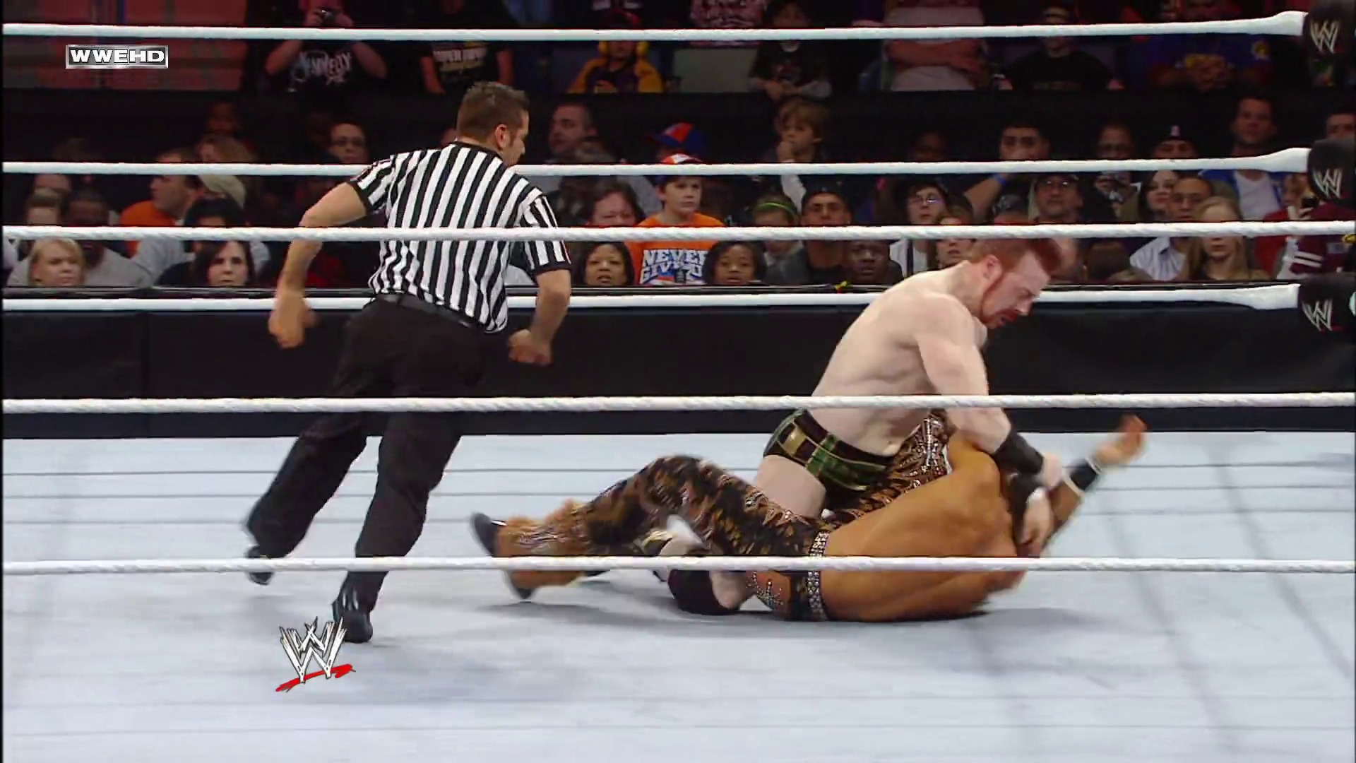 A frame from WWE Raw (December 13, 2010) at 1:17:37. A WWE wrestler lies on the mat in the ring while a referee in a striped shirt monitors the action. The crowd is visible in the background behind the white ropes, with the WWE logo displayed at the bottom of the screen.