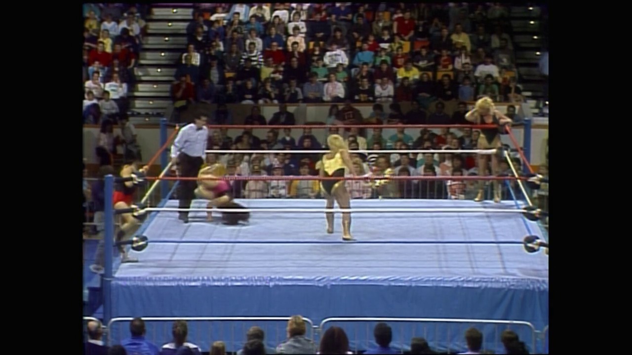 A frame from Royal Rumble (1988) at 41:38. A professional wrestling match takes place in a blue-roped ring with wrestlers positioned on the canvas, while a large crowd fills the arena stands in the background. A referee in a white shirt stands outside the ring monitoring the action.